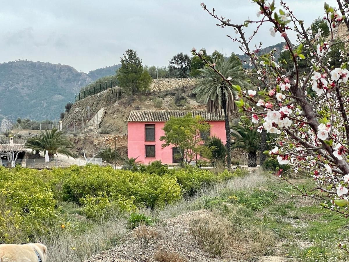Casa Ramoncico. Finca El Campillo Blanca Esterno foto