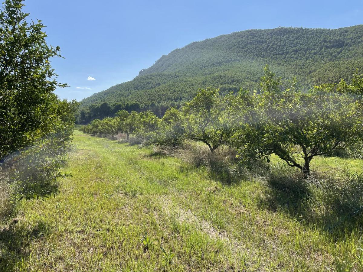 Casa Ramoncico. Finca El Campillo Blanca Esterno foto