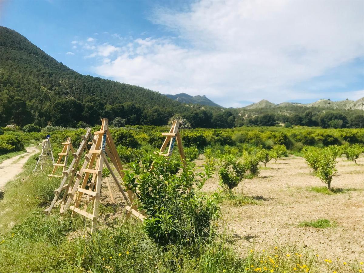 Casa Ramoncico. Finca El Campillo Blanca Esterno foto