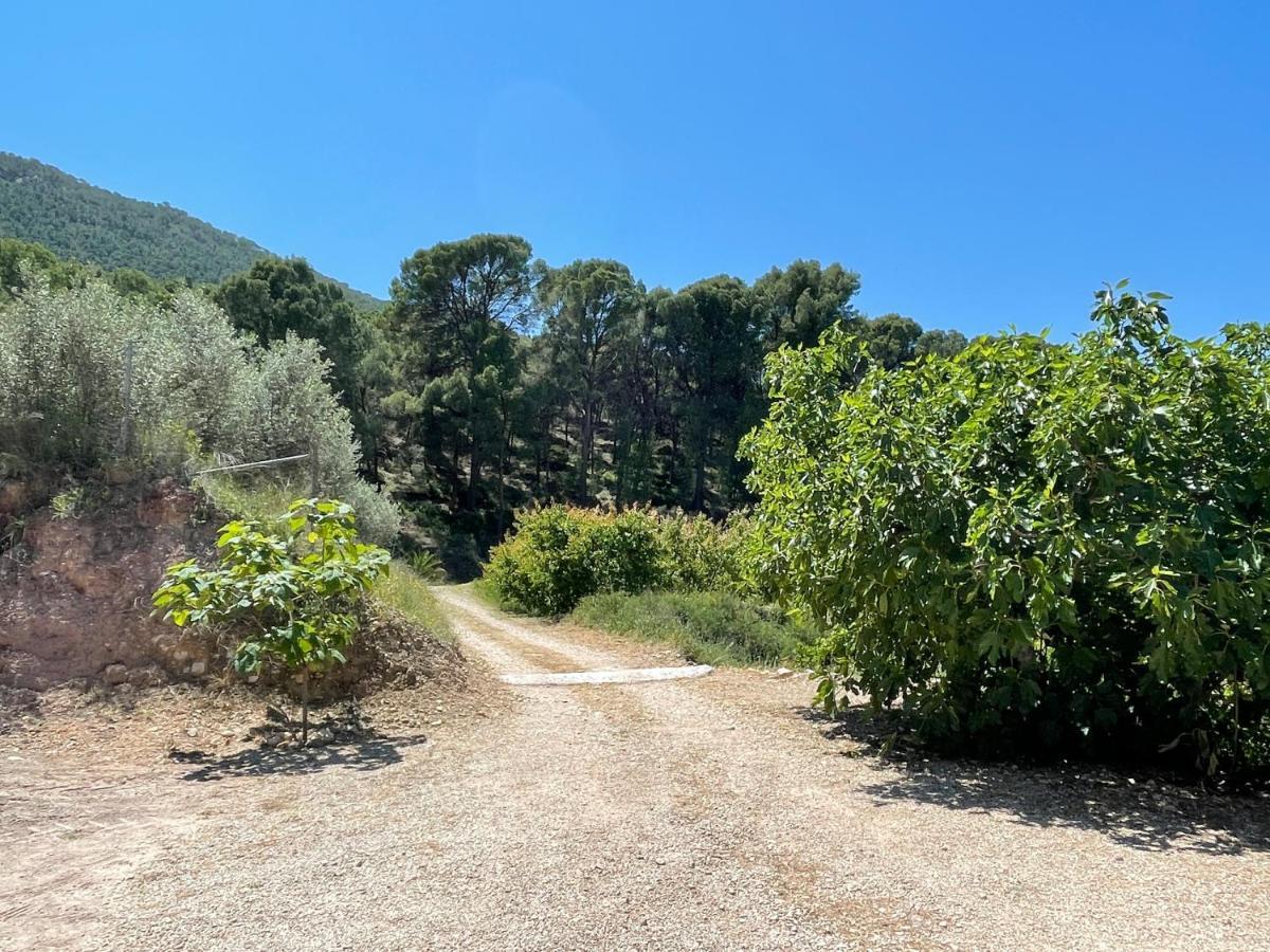 Casa Ramoncico. Finca El Campillo Blanca Esterno foto